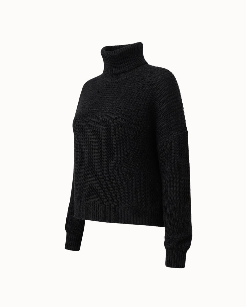 Svetr "Black turtleneck"